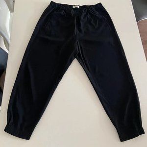 Aritzia black pant